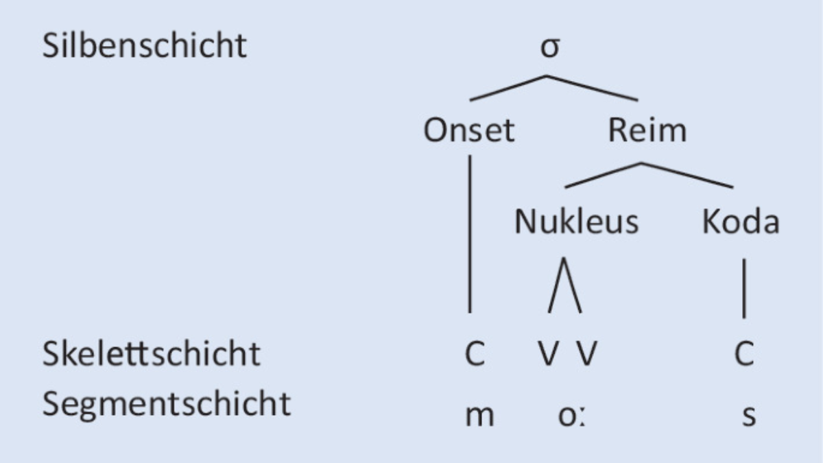 Erster Laut einer Silbe: Bedeutung, Beispiele und einfache Erklärung des Anlauts